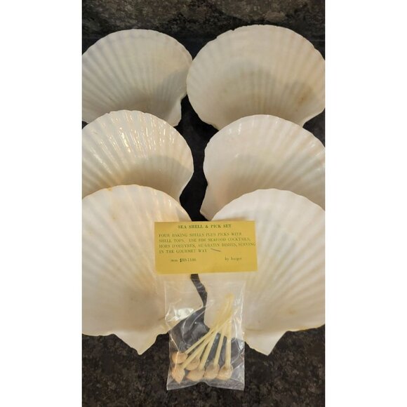 Natural Scallop Seashells & Toothpicks Appetizers Baking Lot of 6 - Picture 2 of 10